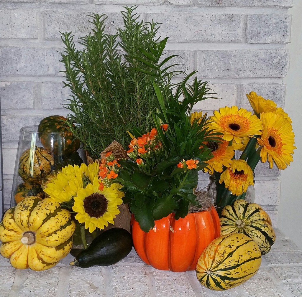 Podzimní aranžmá v interiéru doplní váza s řezanými květy gerber nebo slunečnic.