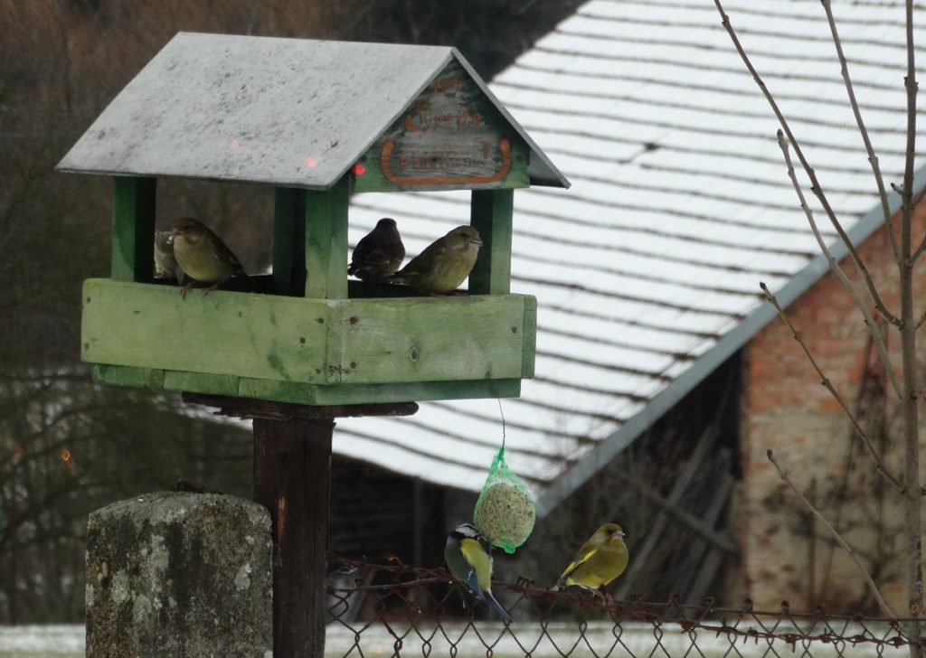 Foto: lepebydlet.cz