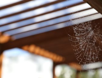 Poznejte velikonoční tradice – šedivé úterý
