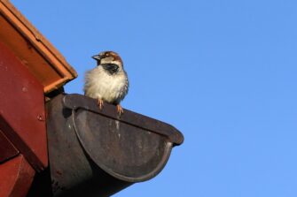 Kontrola okapů před zimou je důležitá