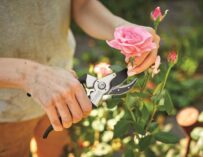 Devět tipů pro podzimní úklid zahrady