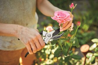 Devět tipů pro podzimní úklid zahrady